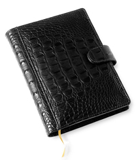 Agenda